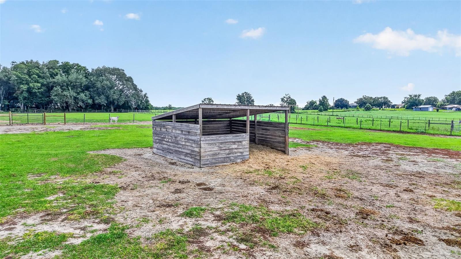 14125 175th, Weirsdale, FL 32195