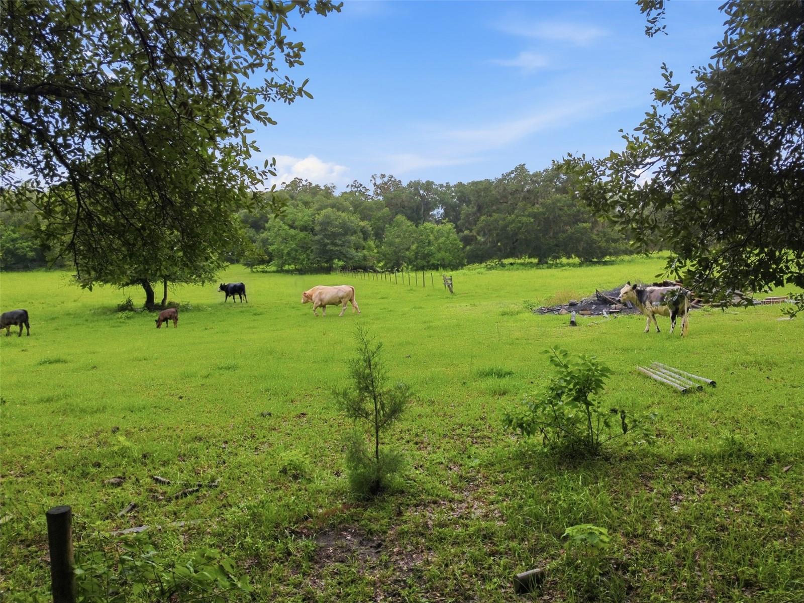 9299 Weatherly, Brooksville, FL 34601