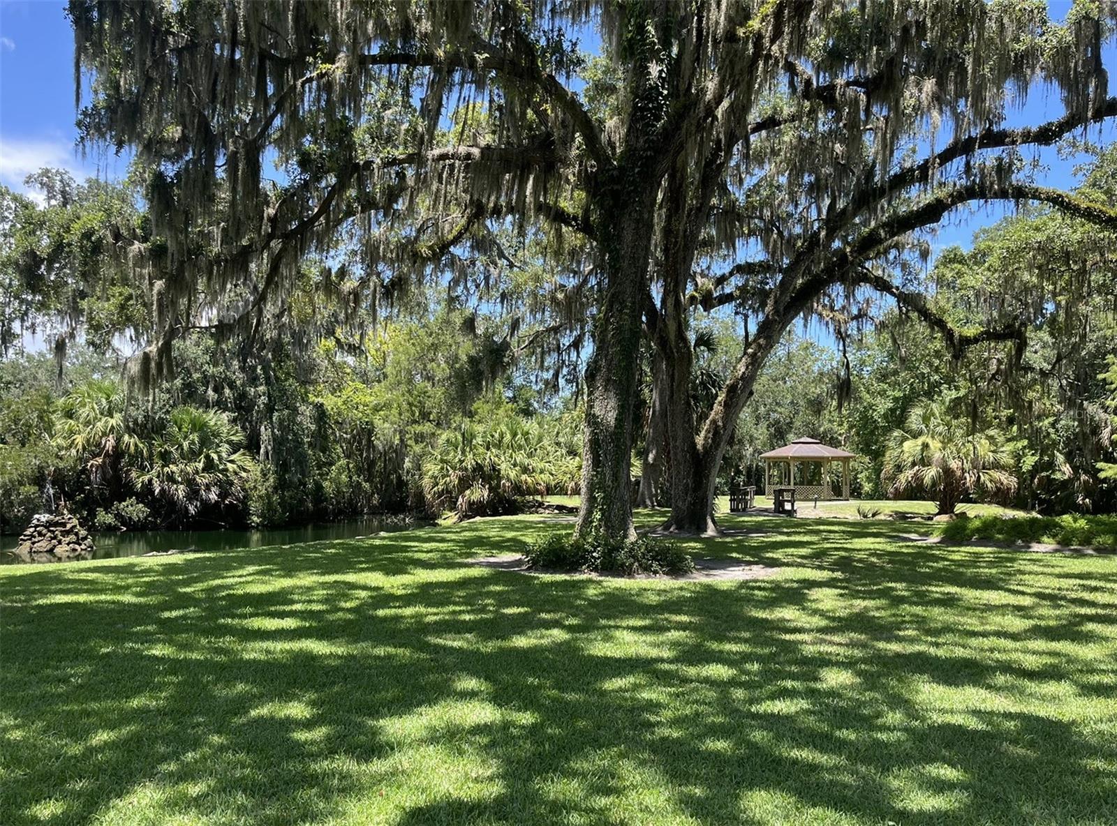 308 Palm Coast Unit 203, Palm Coast, FL 32137