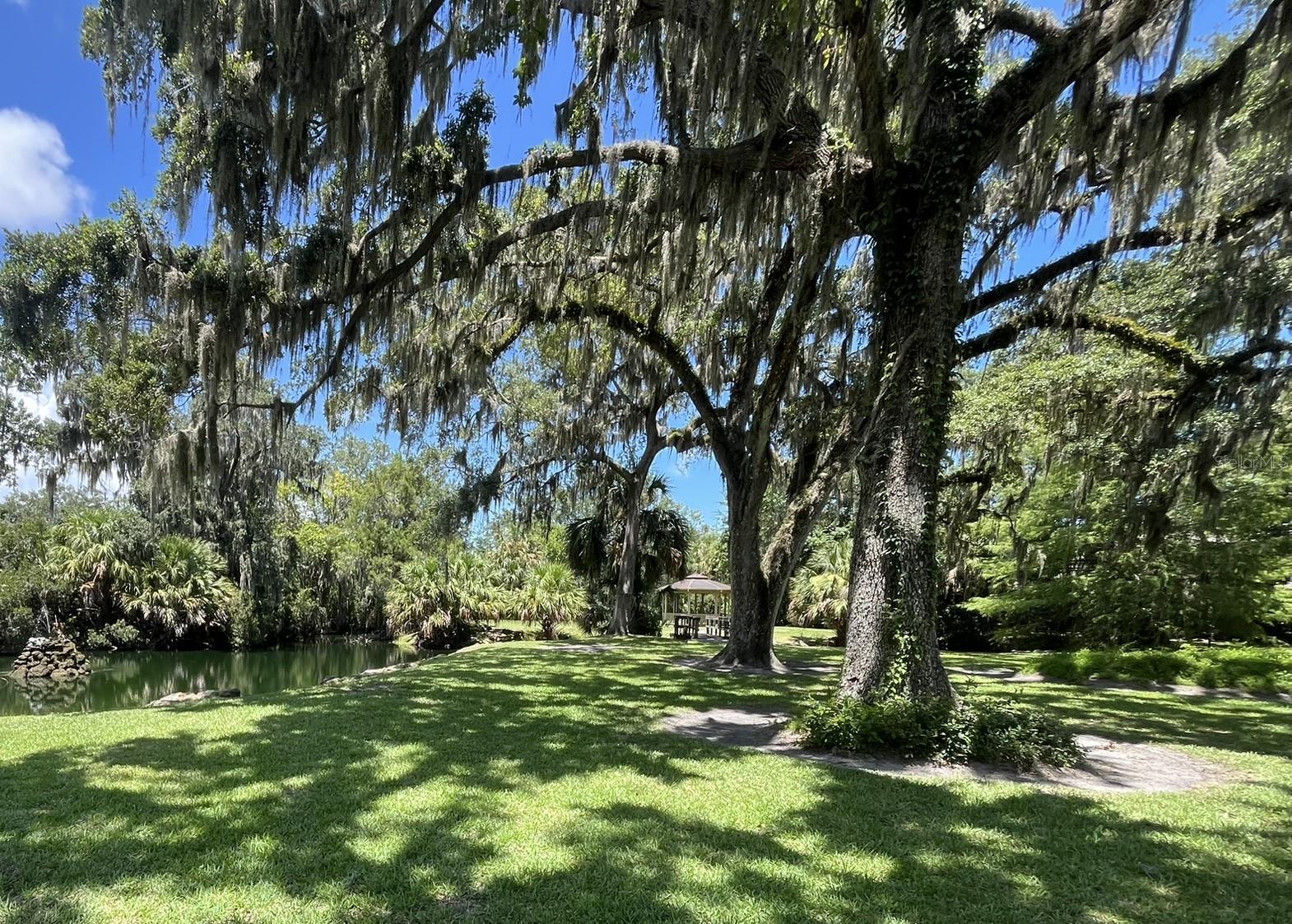 308 Palm Coast Unit 203, Palm Coast, FL 32137