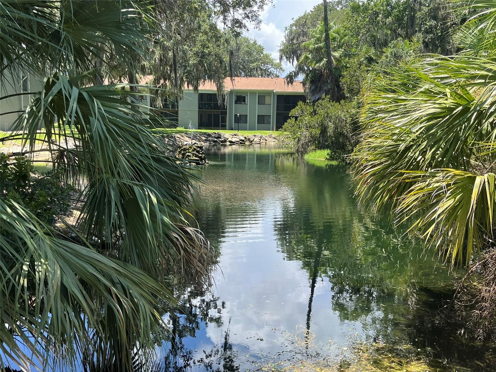 308 Palm Coast Unit 203, Palm Coast, FL 32137