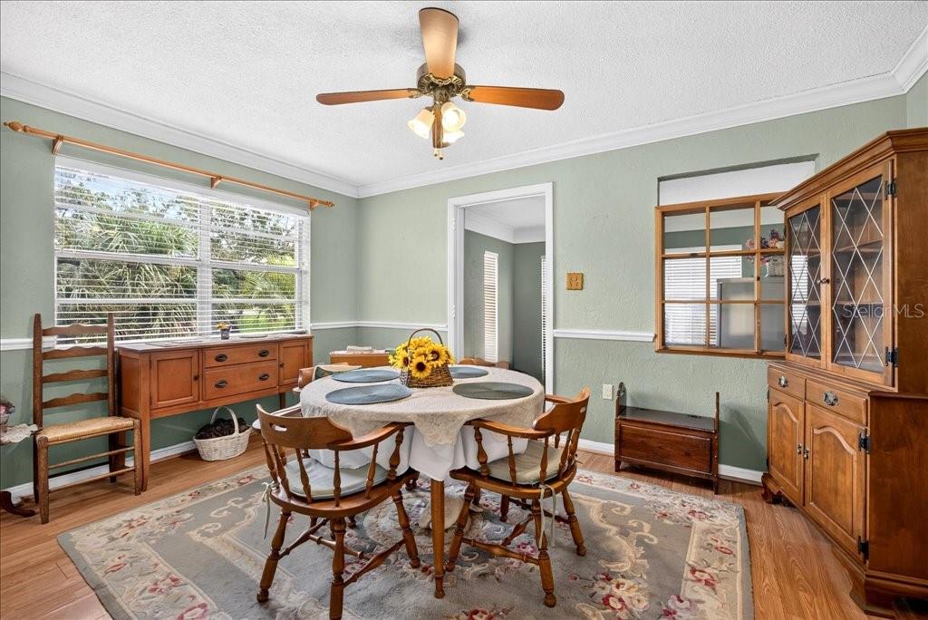 404 Pine, Ormond Beach, FL 32176