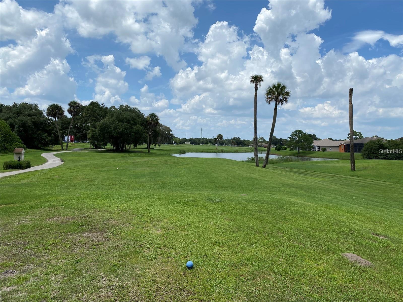 1953 The Oaks, Kissimmee, FL 34746