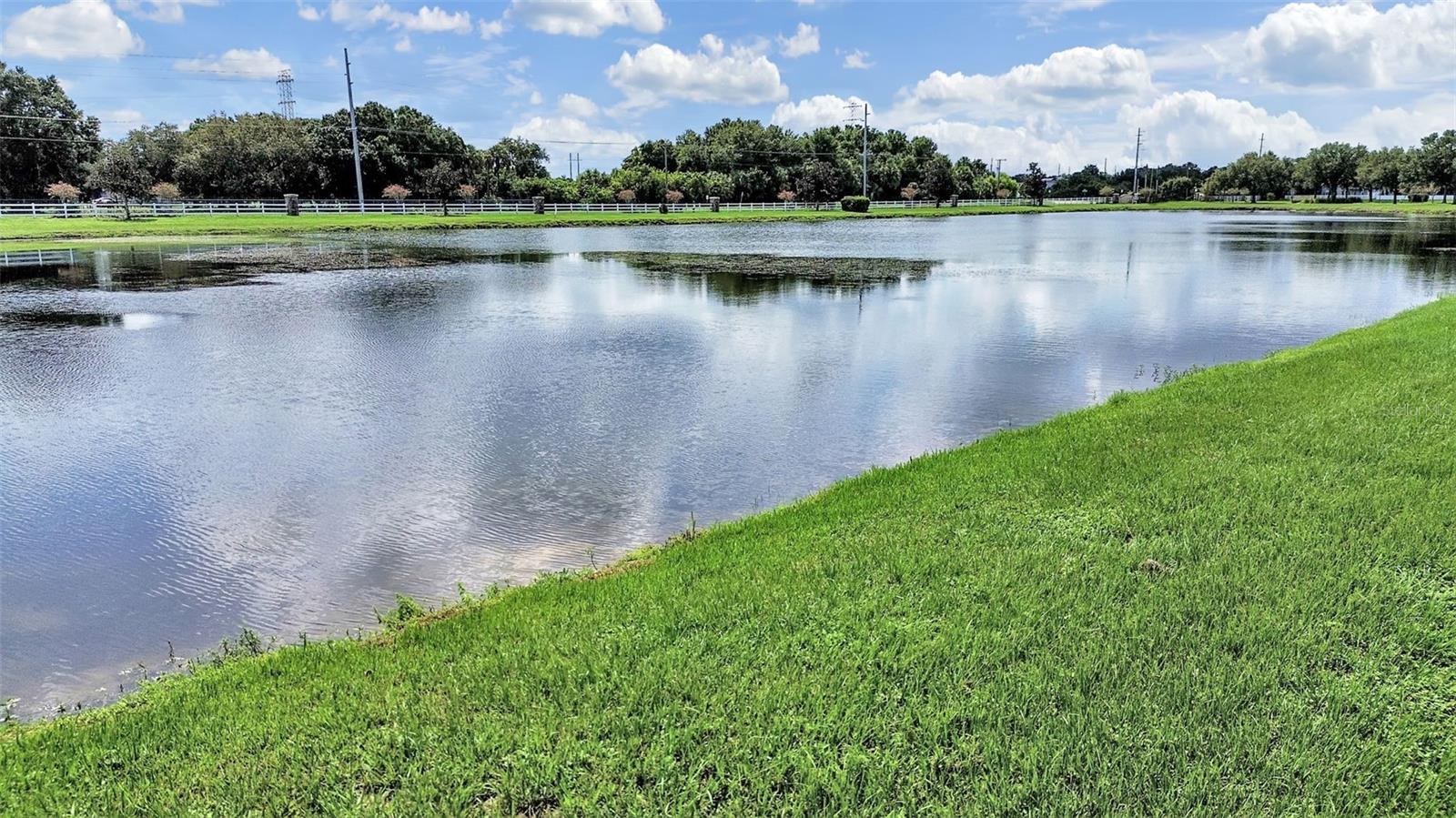 11908 Fern Blossom, Gibsonton, FL 33534