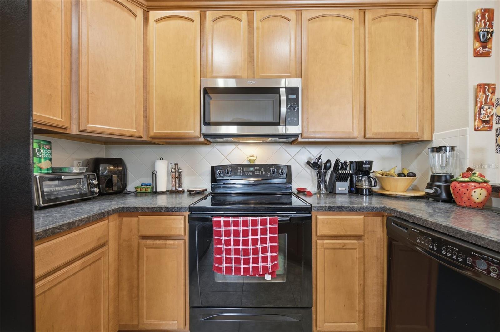 8924 Moonlit Meadows, Riverview, FL 33578