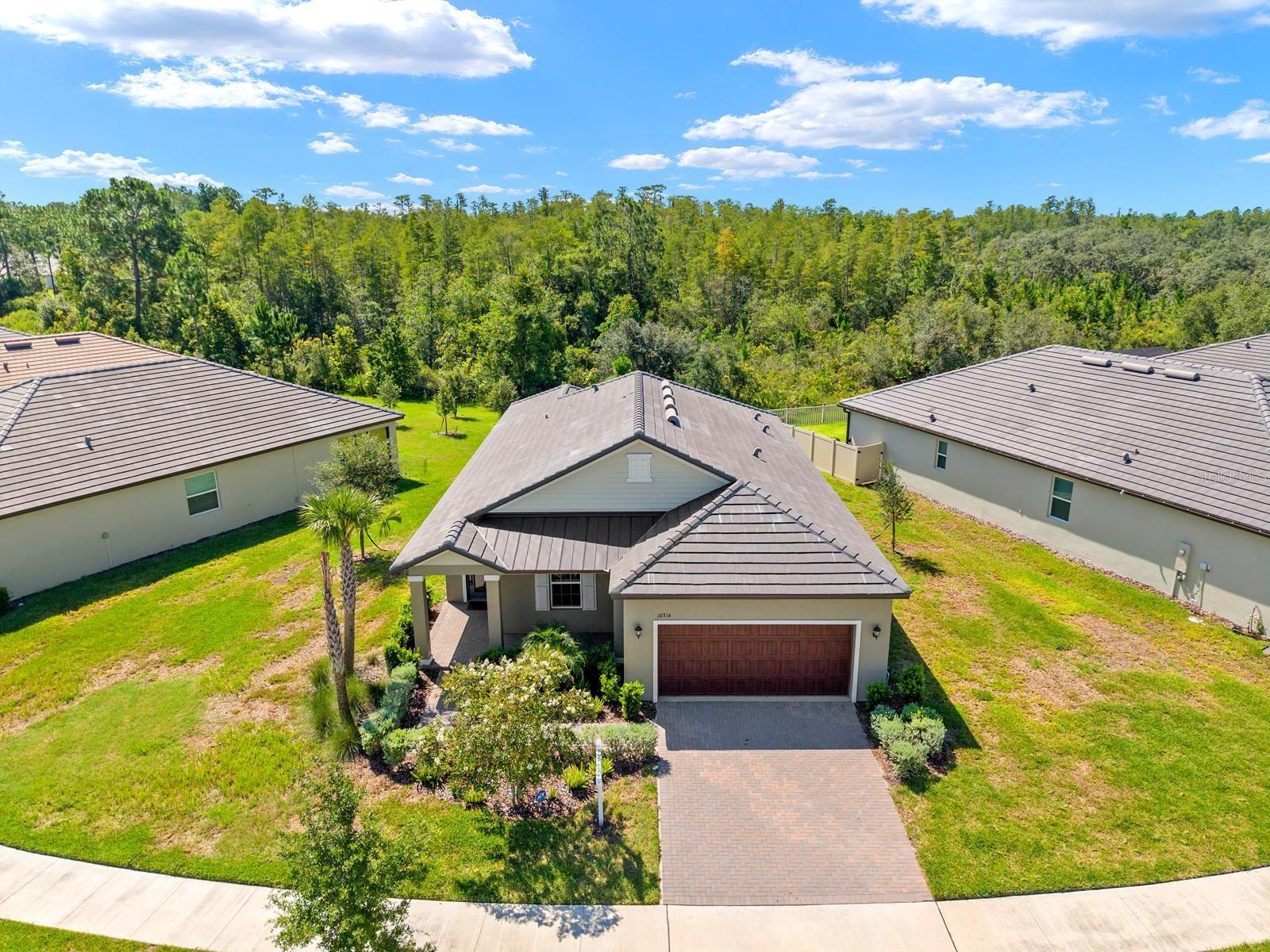 10314 Banyan Breeze, Land O Lakes, FL 34638