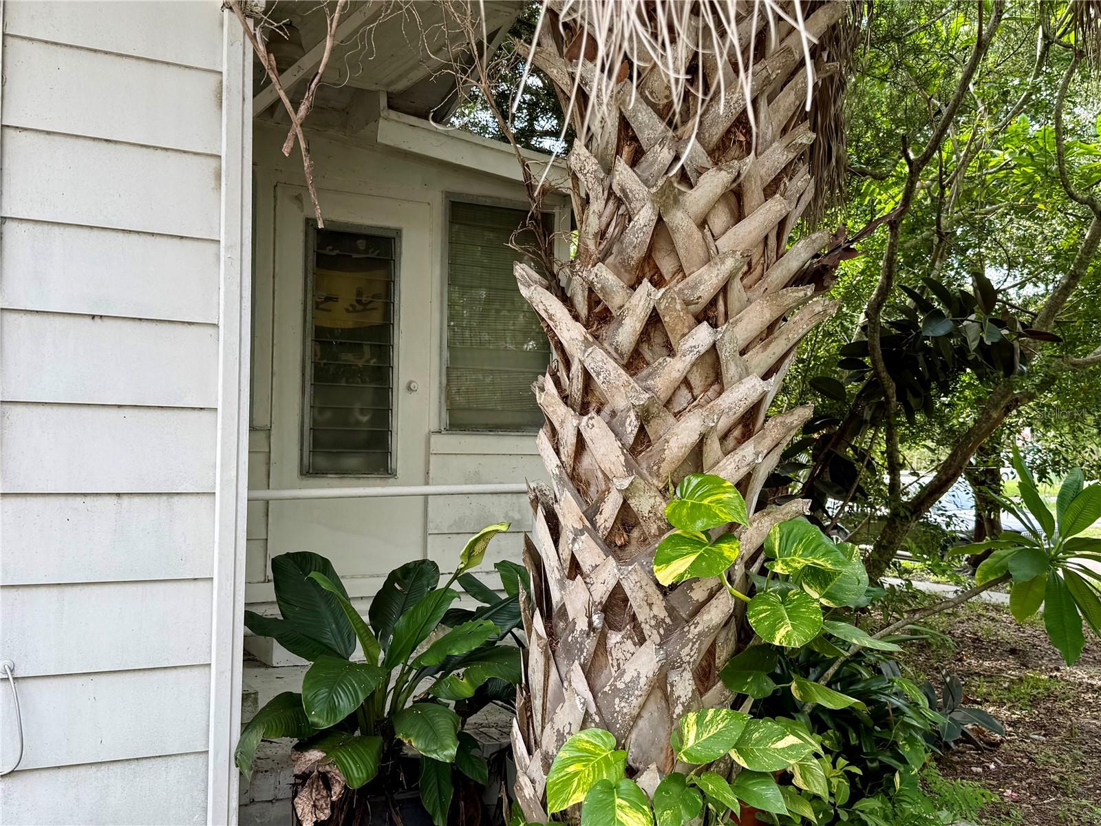 766 51st, St Petersburg, FL 33703