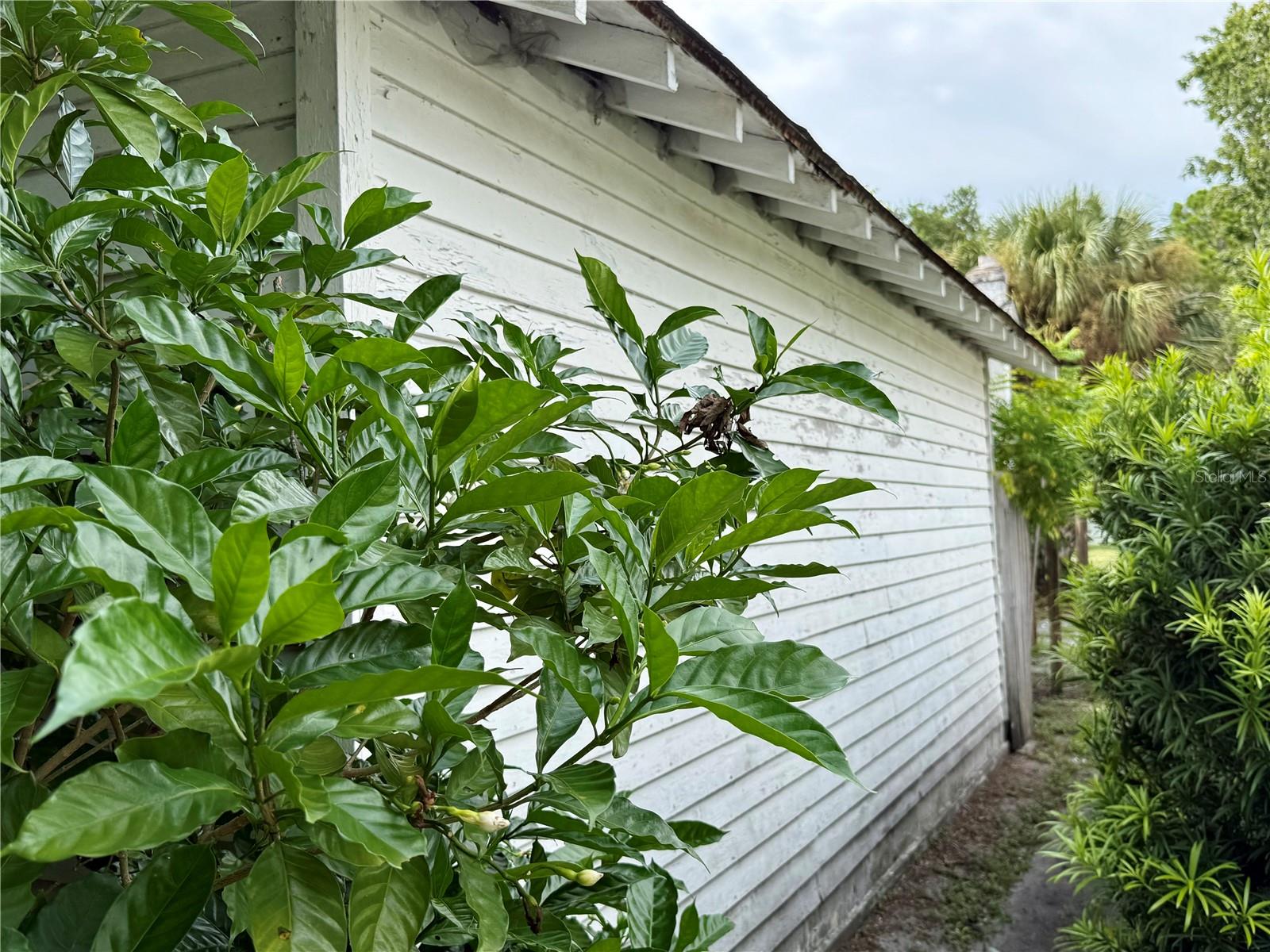 766 51st, St Petersburg, FL 33703