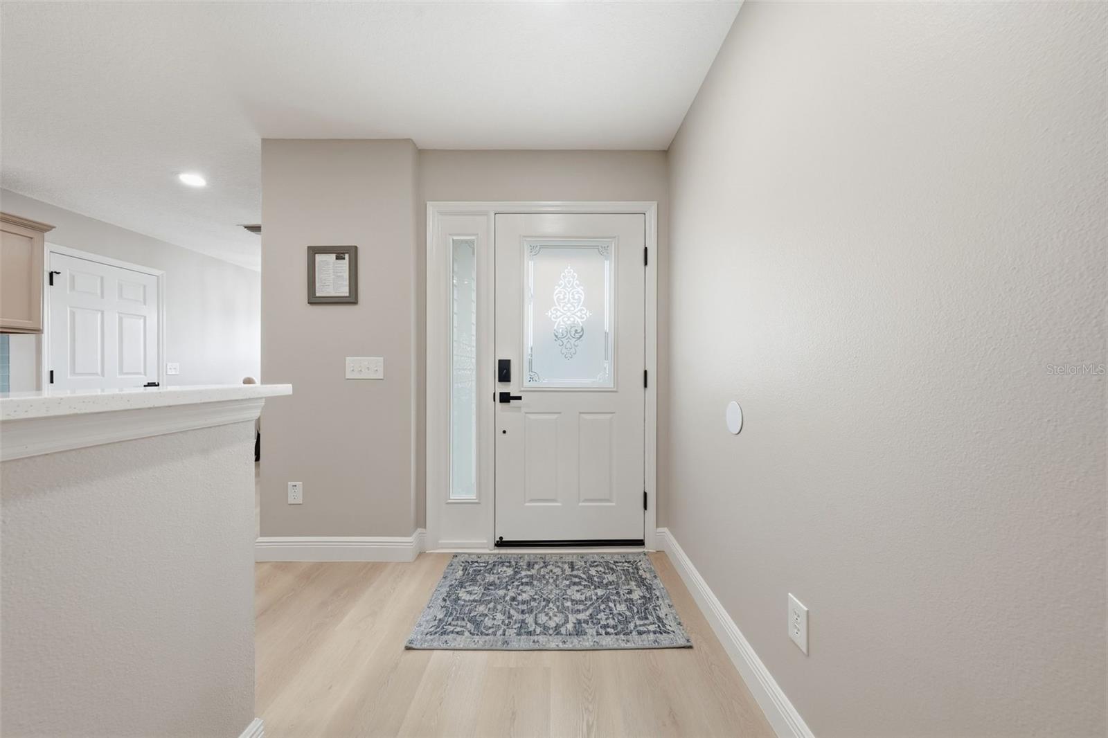 17173 79th Mclawren, The Villages, FL 32162