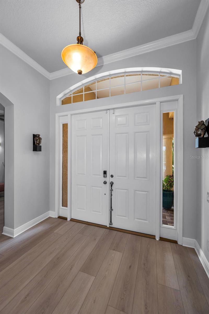 1453 El Pardo, Trinity, FL 34655