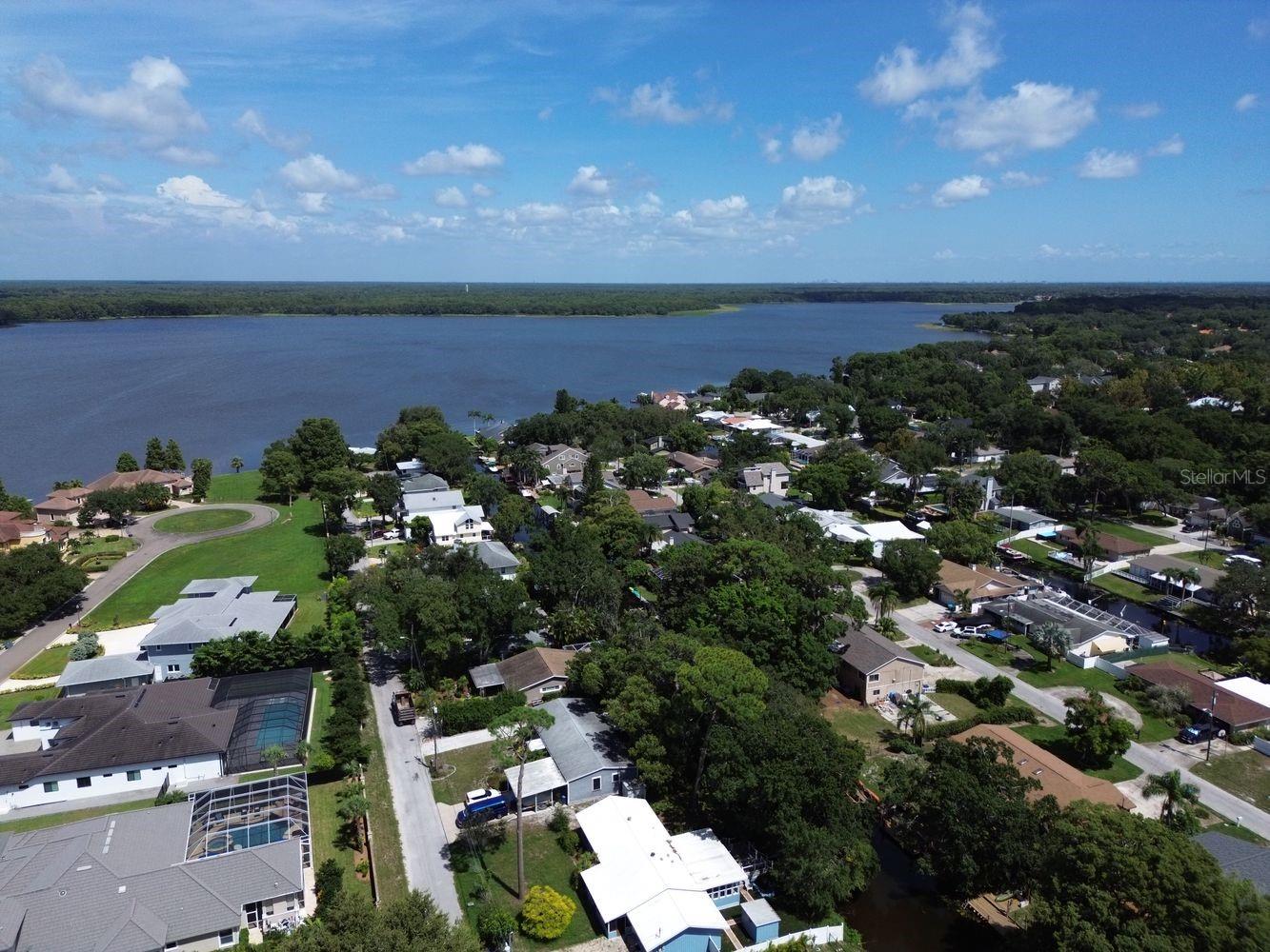 3363 Marion, Palm Harbor, FL 34684