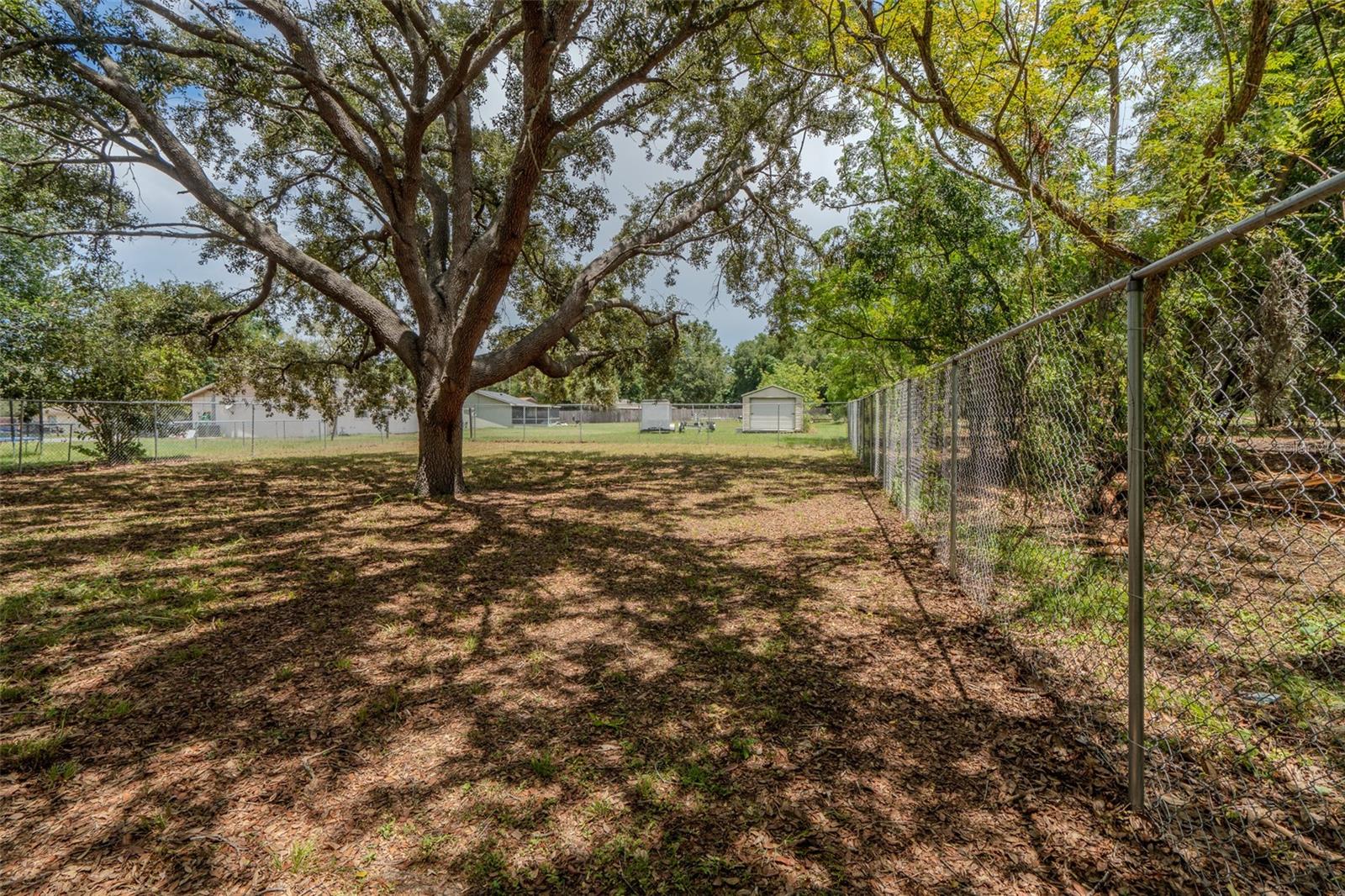 1049 Birch, Tavares, FL 32778