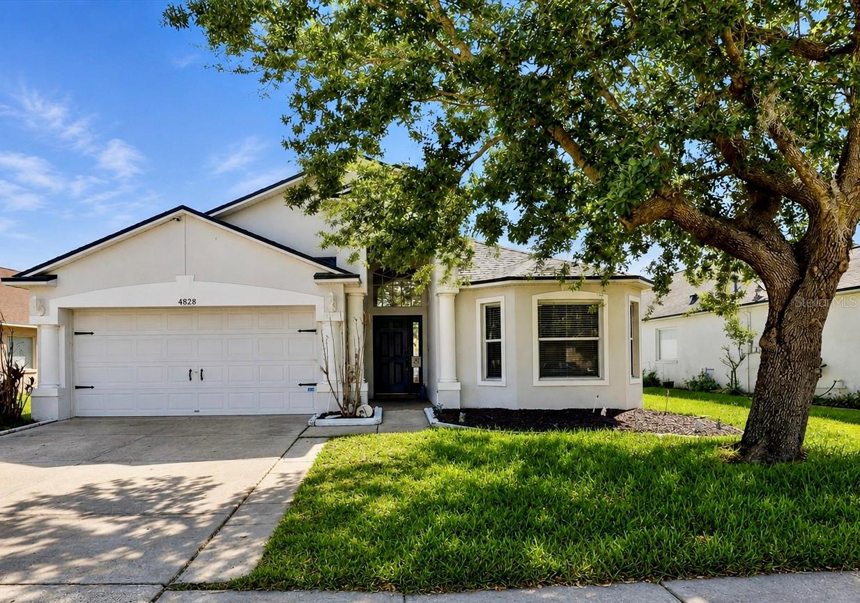 4828 Wessex, Land O Lakes, FL 34639