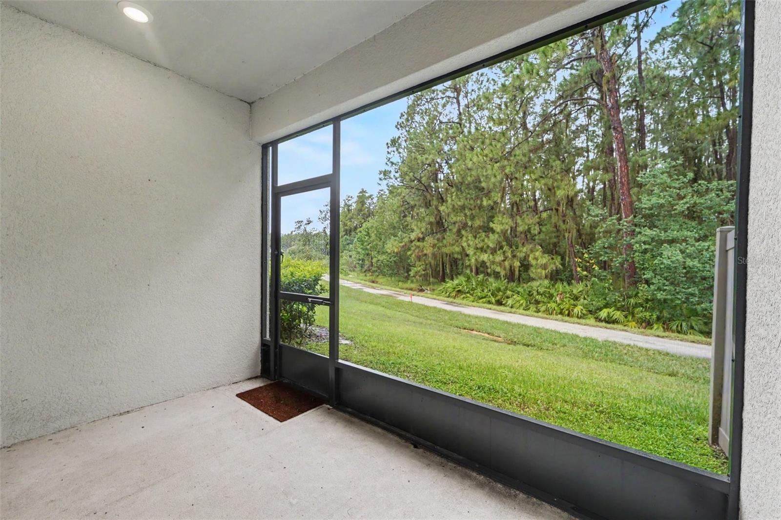 5150 San Martino, Wesley Chapel, FL 33543