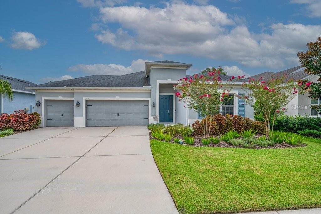 17651 Bright Wheat, Lithia, FL 33547