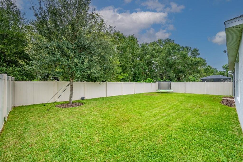 17651 Bright Wheat, Lithia, FL 33547