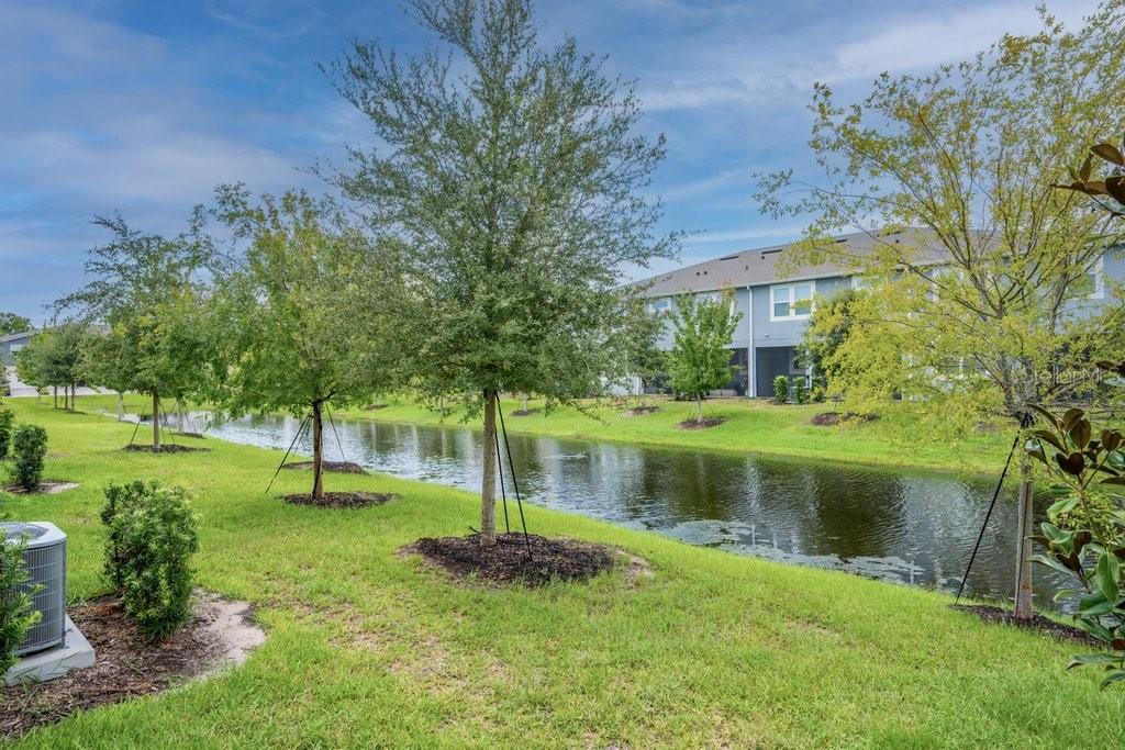 3463 Timber Crossing, Brandon, FL 33511
