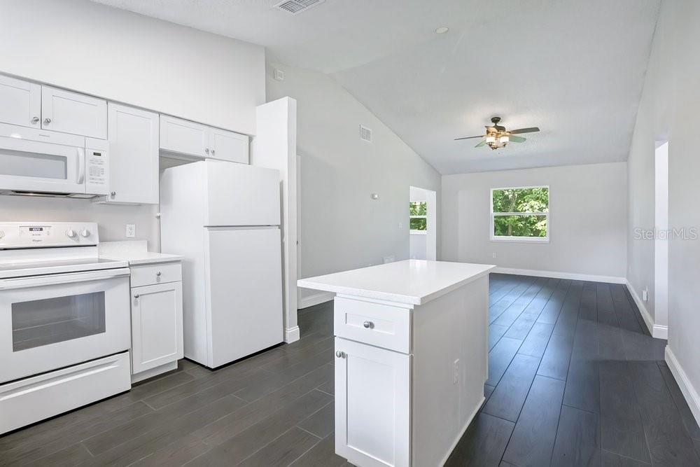 156 Lake, Orlando, FL 32835