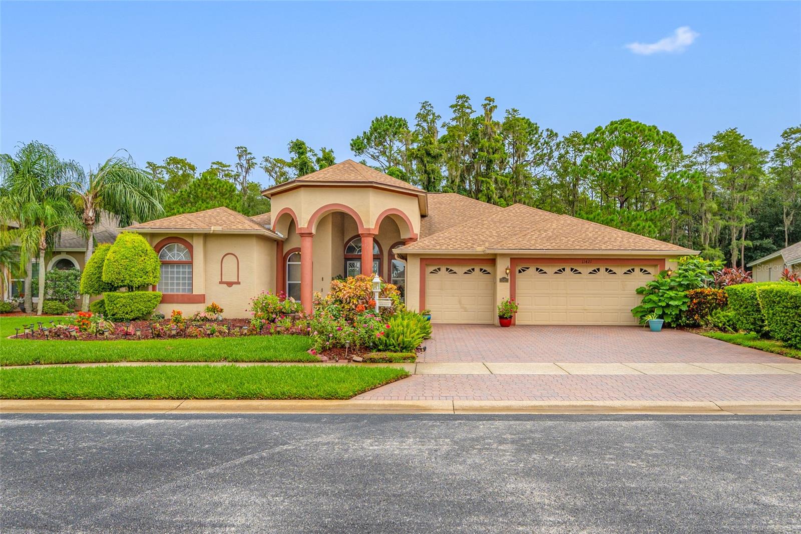 11421 Strathaven, Trinity, FL 34655