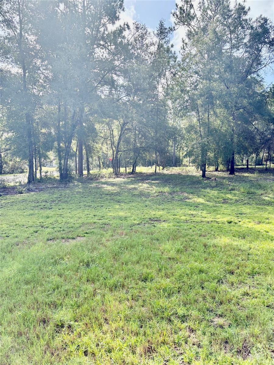 8680 209th, Dunnellon, FL 34431