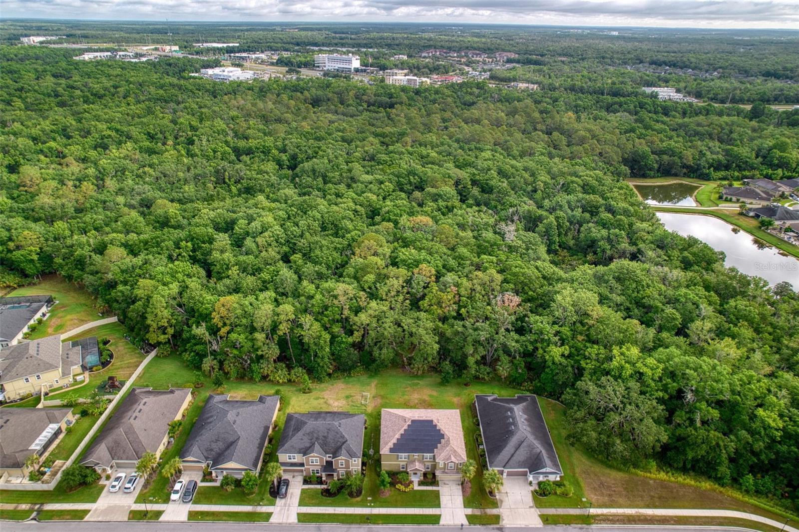 26888 Fiddlewood, Wesley Chapel, FL 33544
