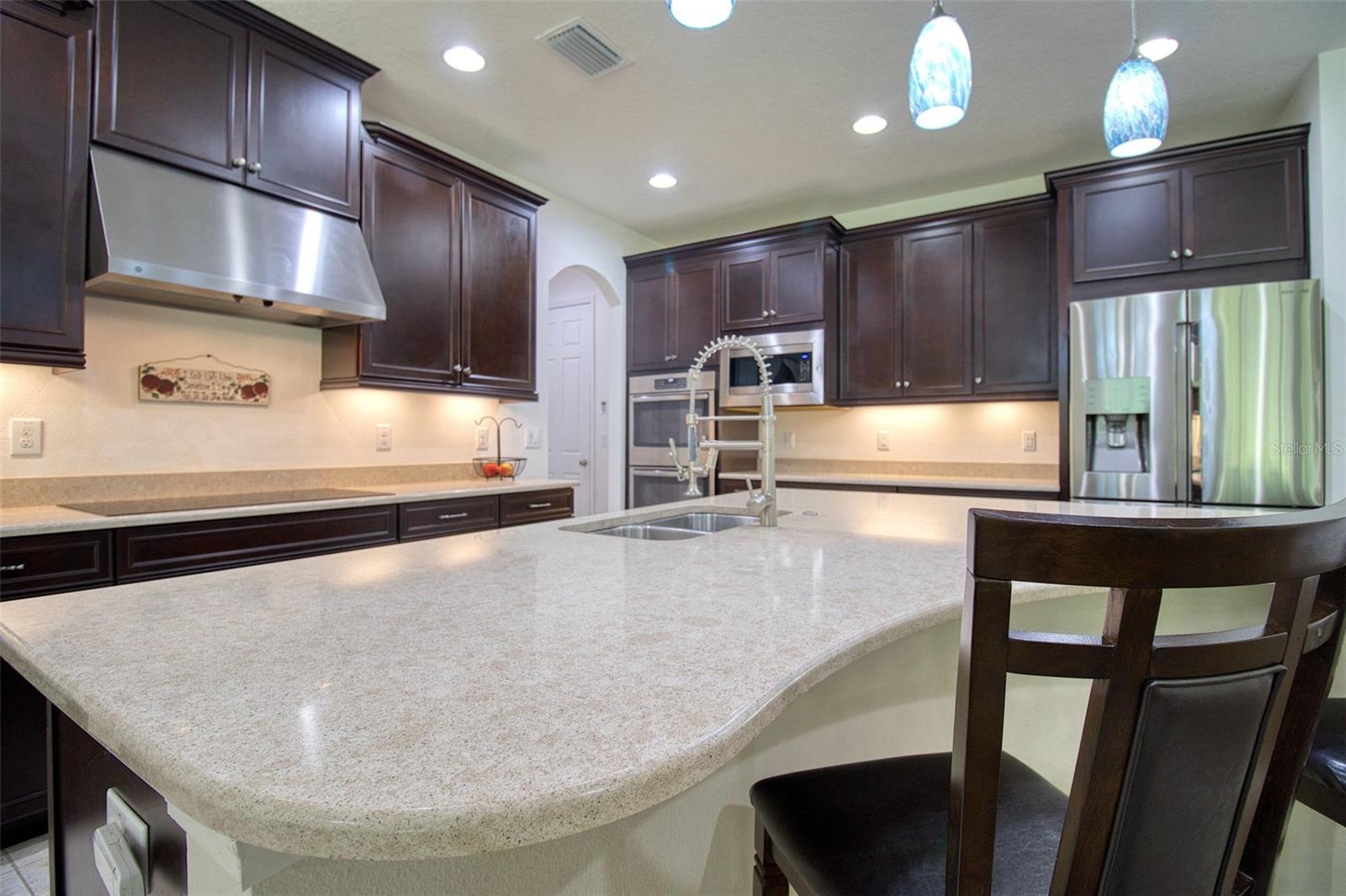 26888 Fiddlewood, Wesley Chapel, FL 33544