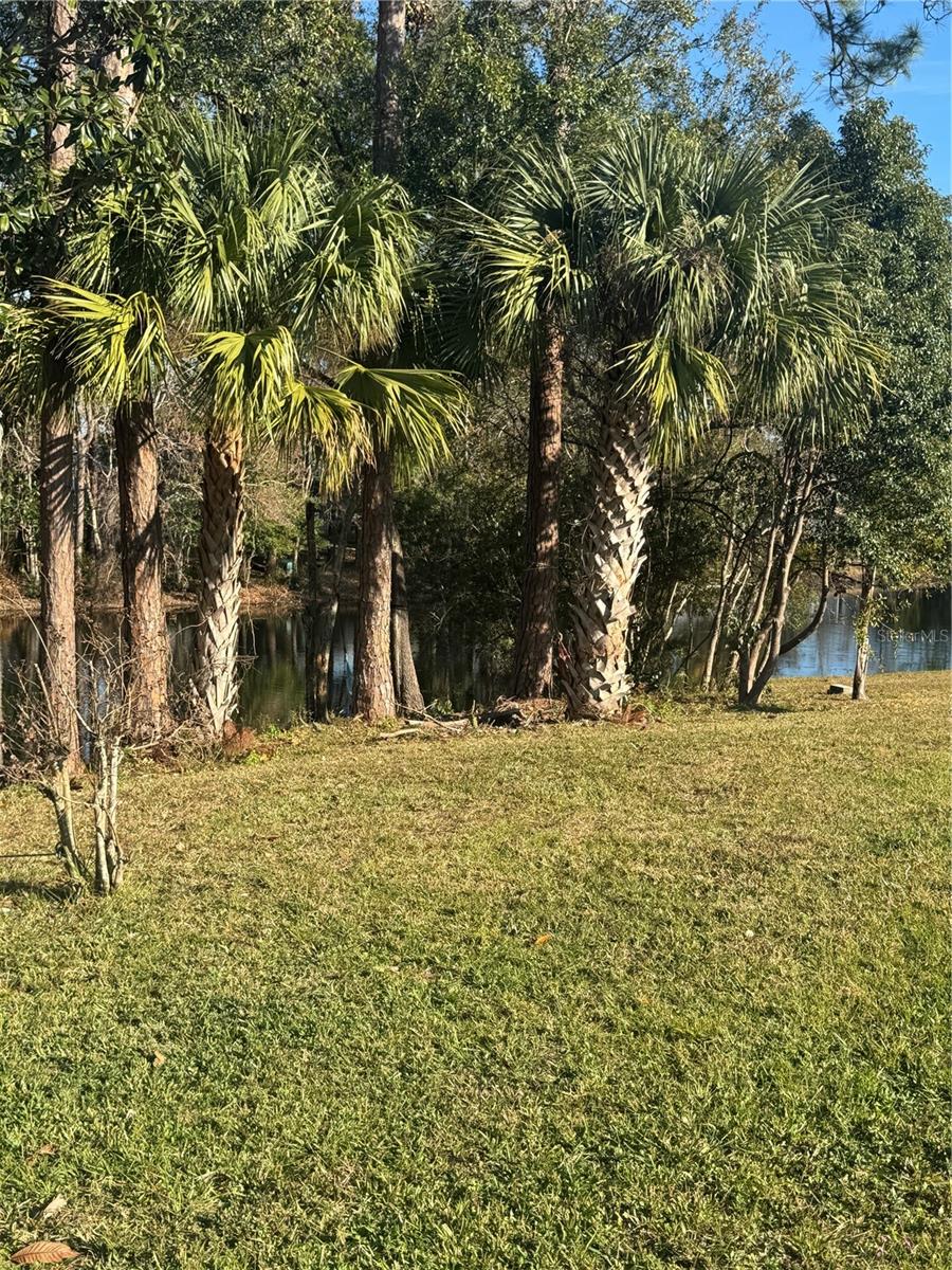 180 Beechwood, Palm Coast, FL 32137