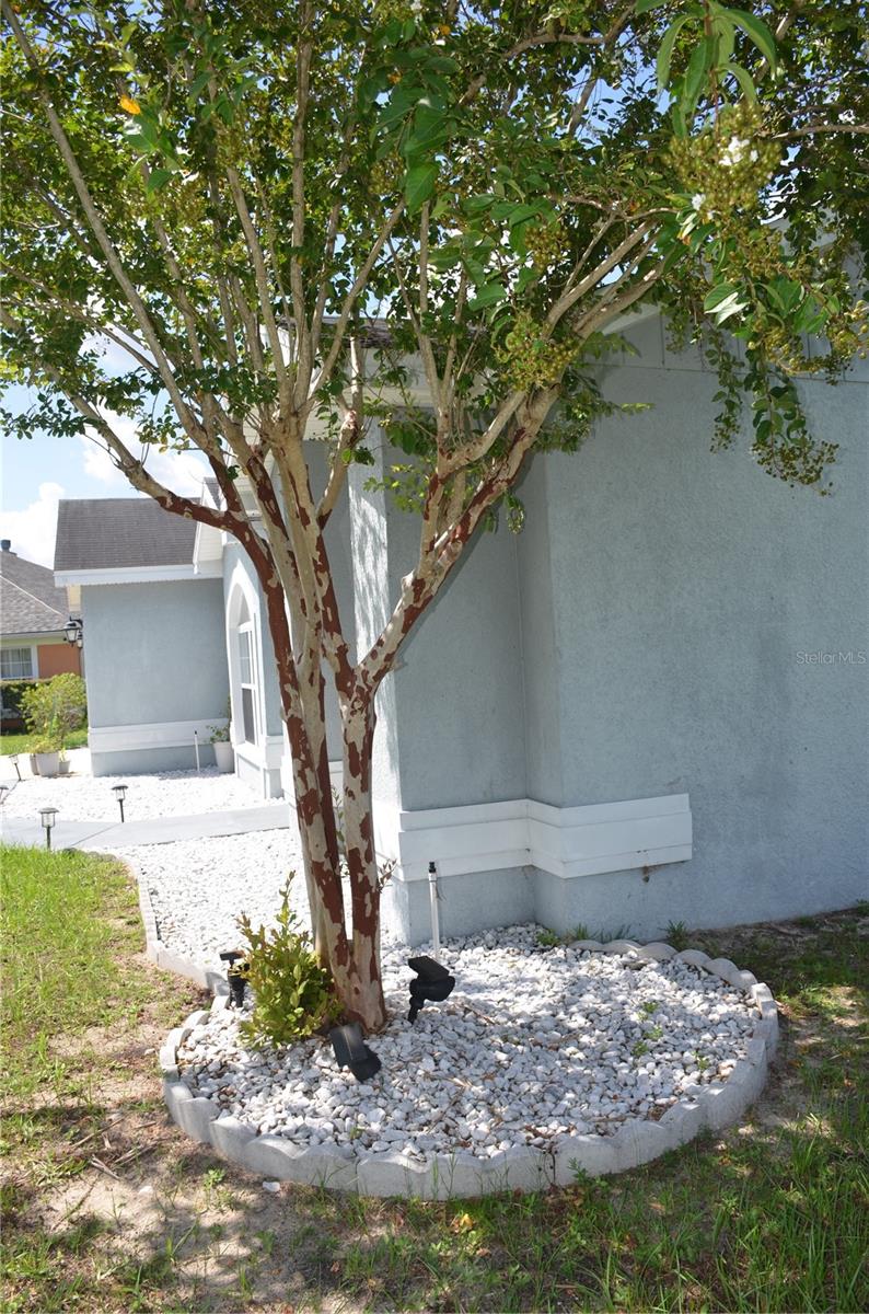 9916 56th, Ocala, FL 34476