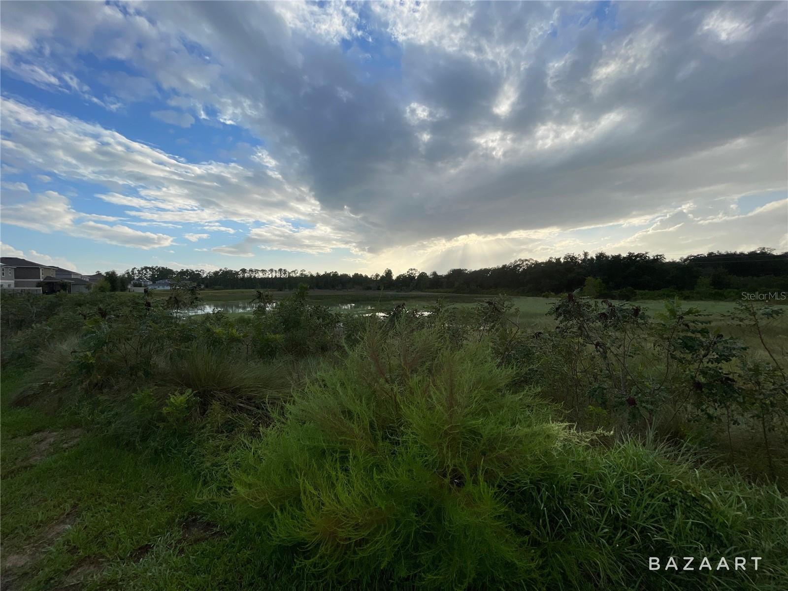 1441 Sawgrass Hammock, Davenport, FL 33837