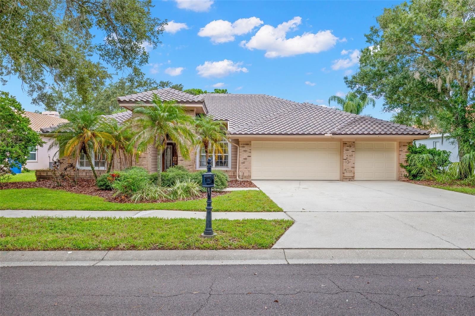 1730 Captiva, Oldsmar, FL 34677