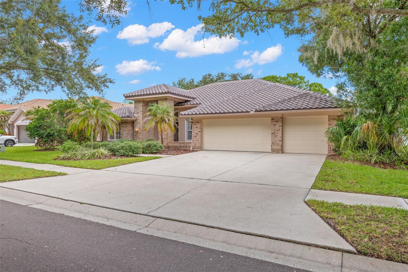 1730 Captiva, Oldsmar, FL 34677