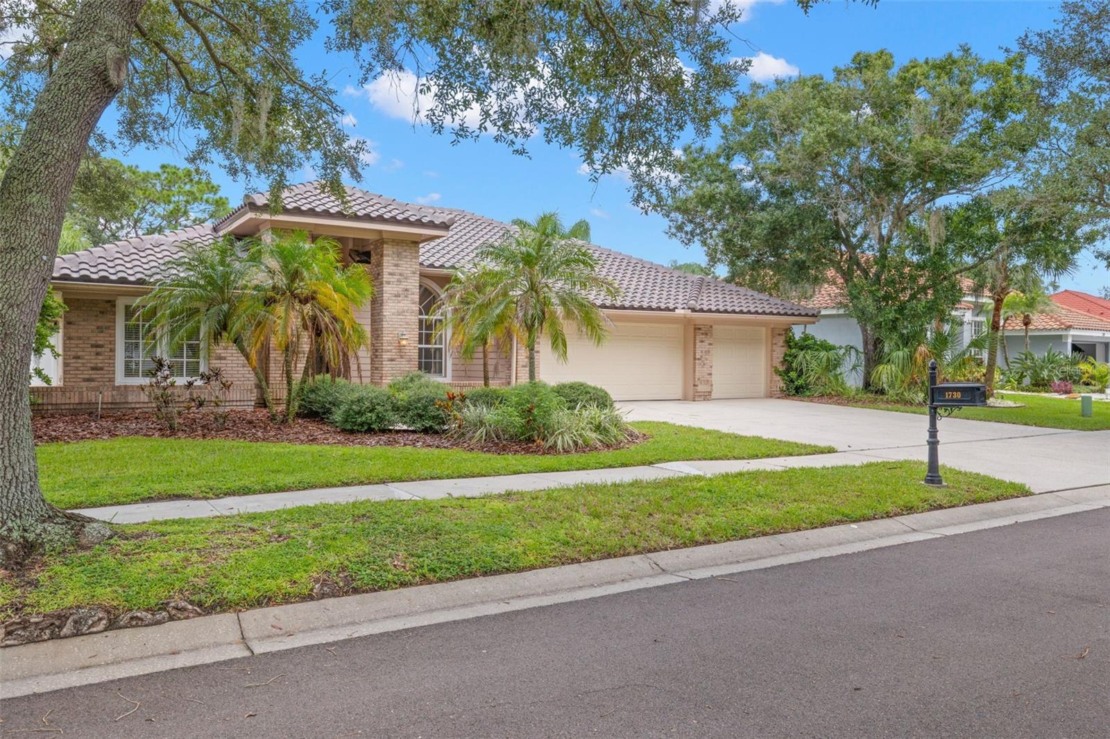 1730 Captiva, Oldsmar, FL 34677