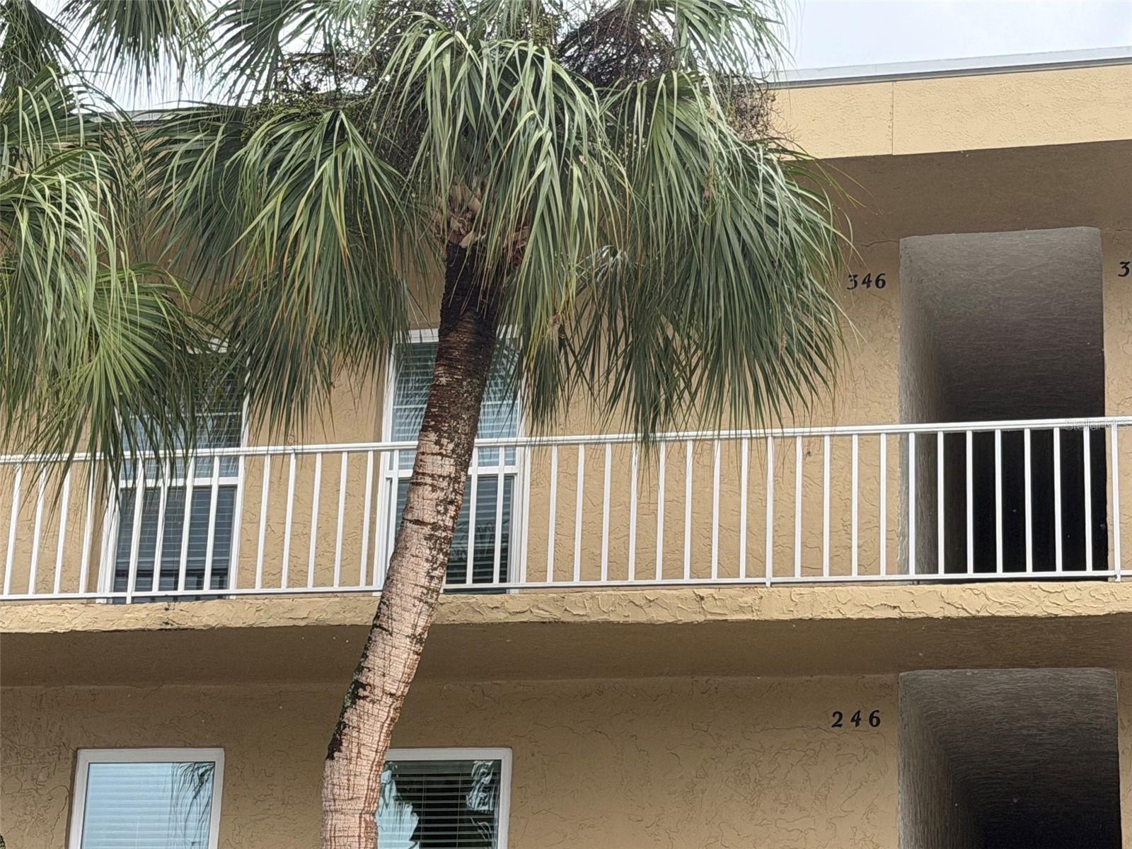 225 Country Club Unit E346, Largo, FL 33771