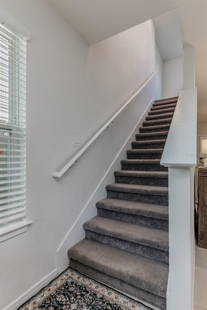 29908 Marquette, Wesley Chapel, FL 33545