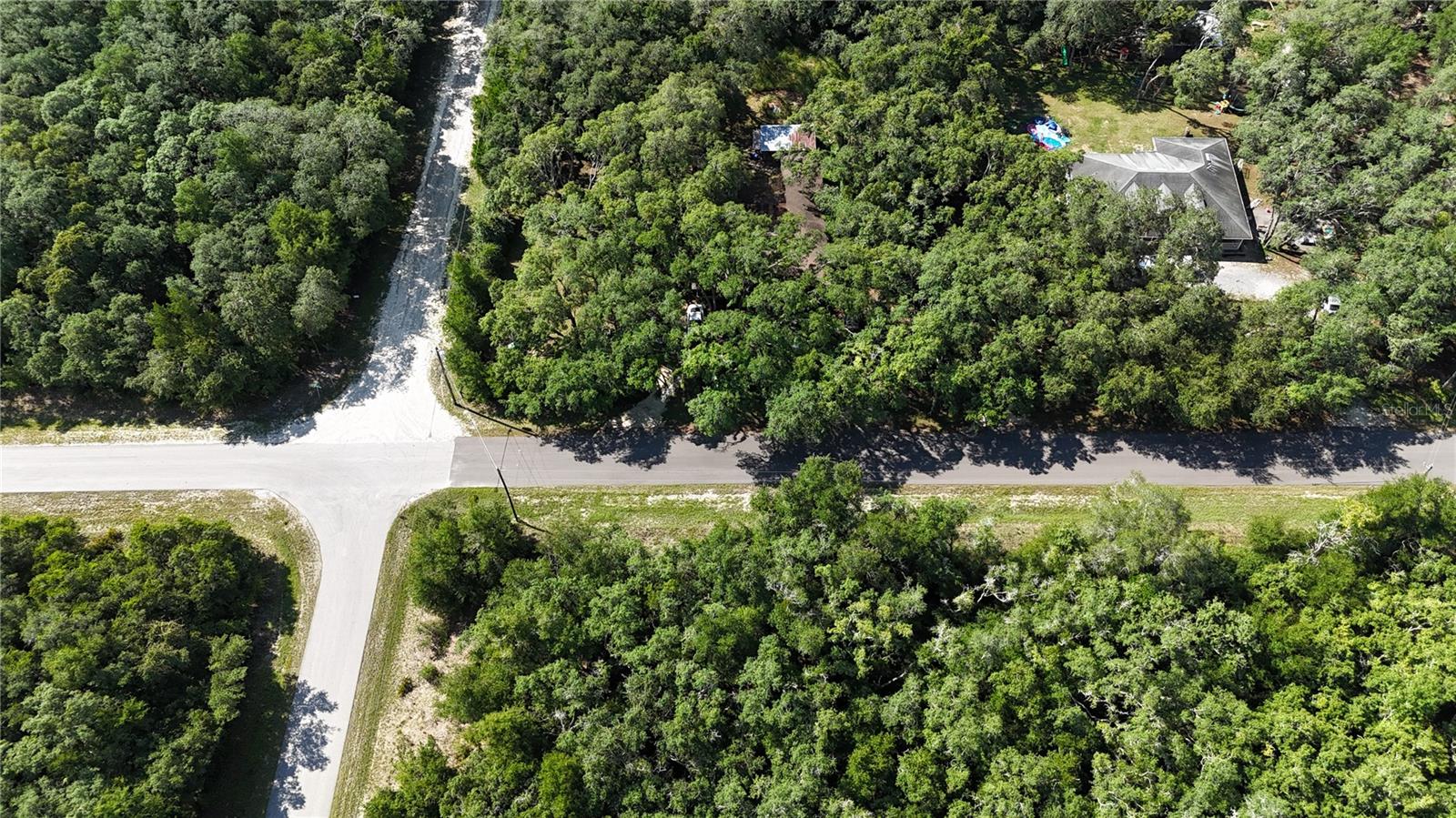 34146 Umbrella Rock, Webster, FL 33597