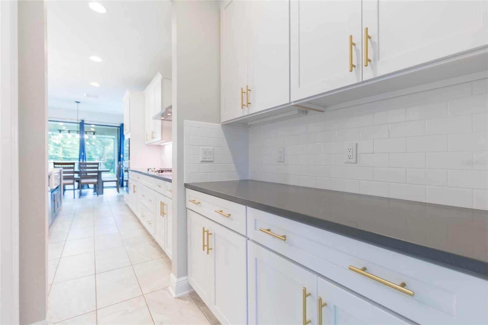 19457 Redwood Point, Tampa, FL 33647