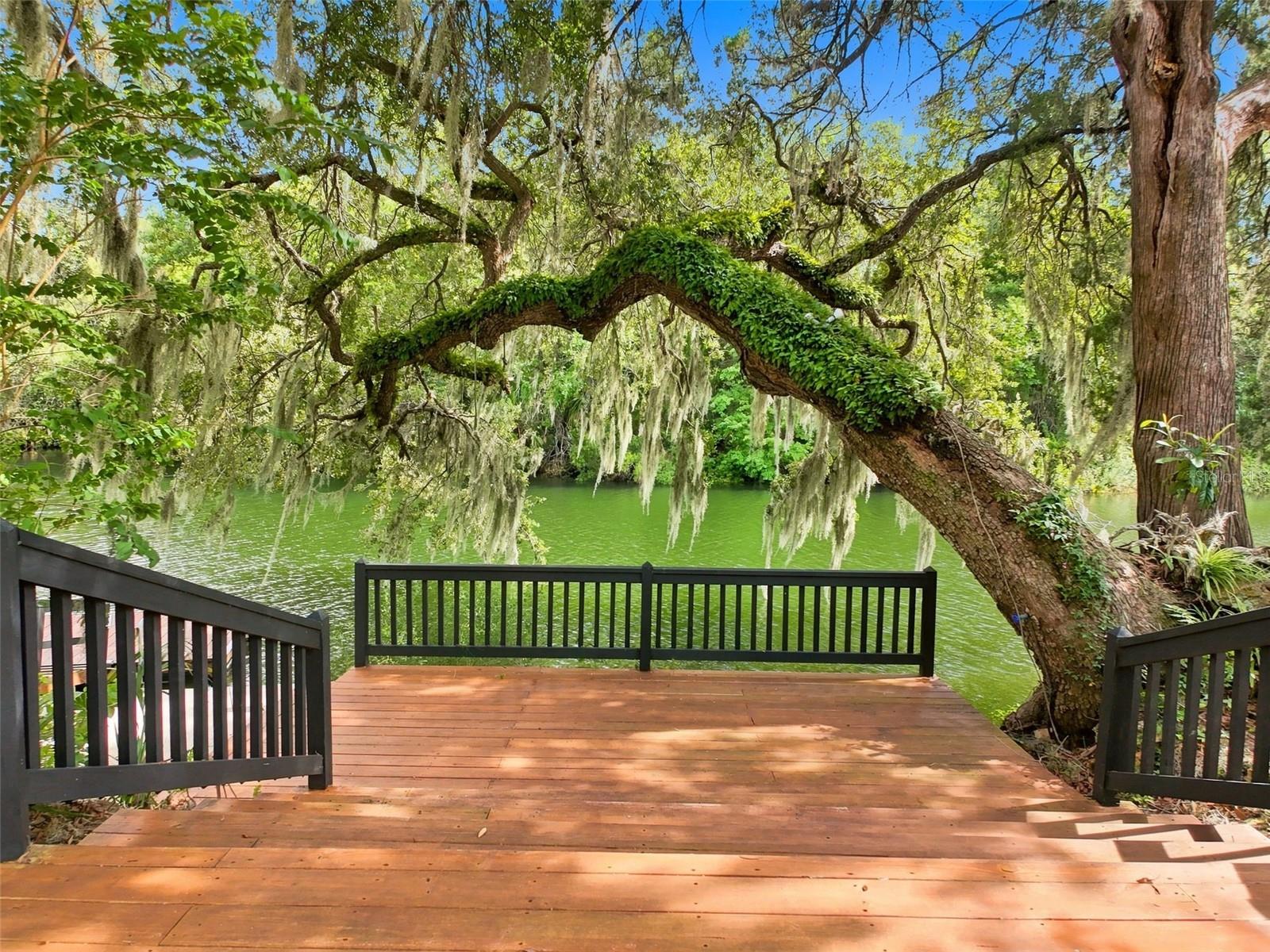 5415 Riverside, Yankeetown, FL 34498