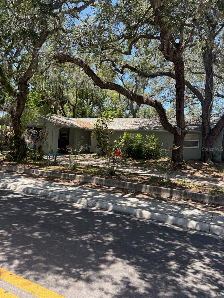 439 Martin Luther King Jr, Tarpon Springs, FL 34689