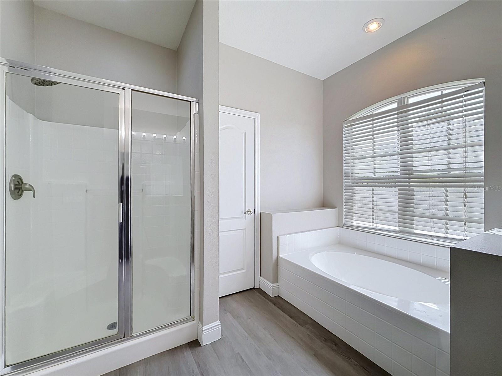 3803 Blue Dasher, Kissimmee, FL 34744