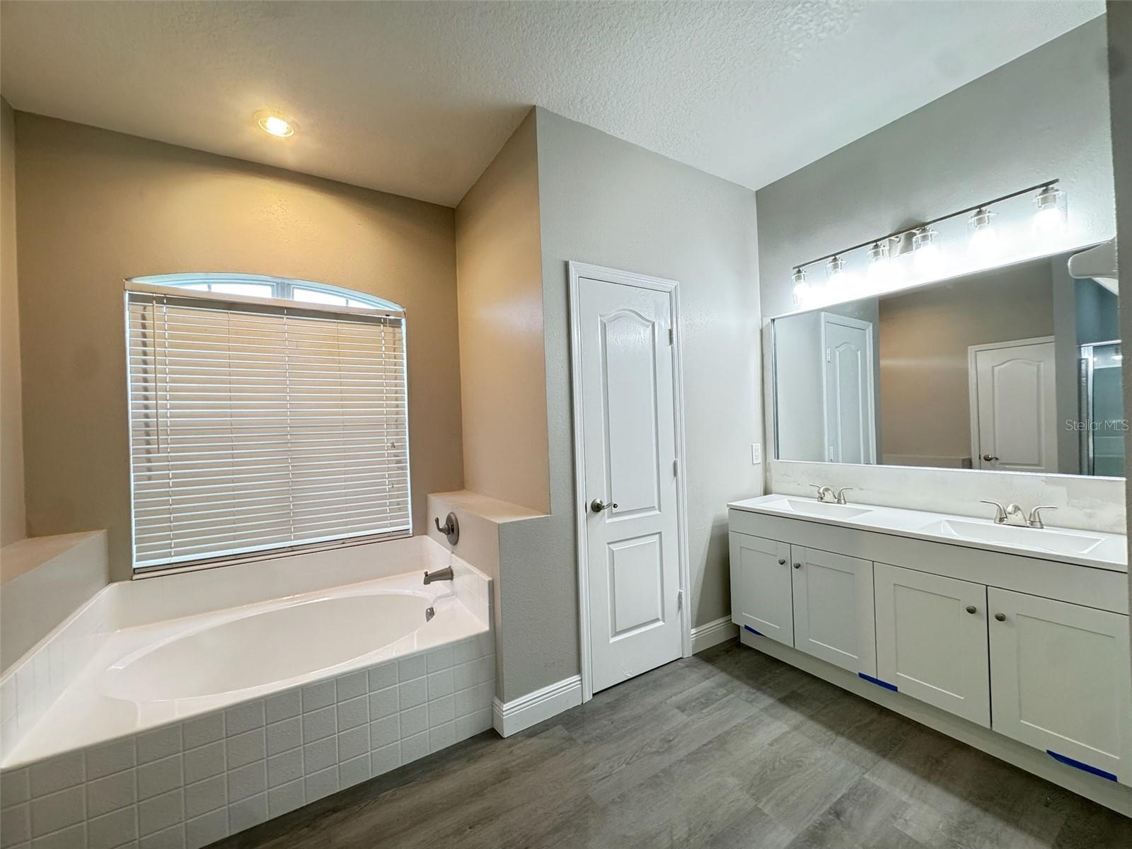 3803 Blue Dasher, Kissimmee, FL 34744