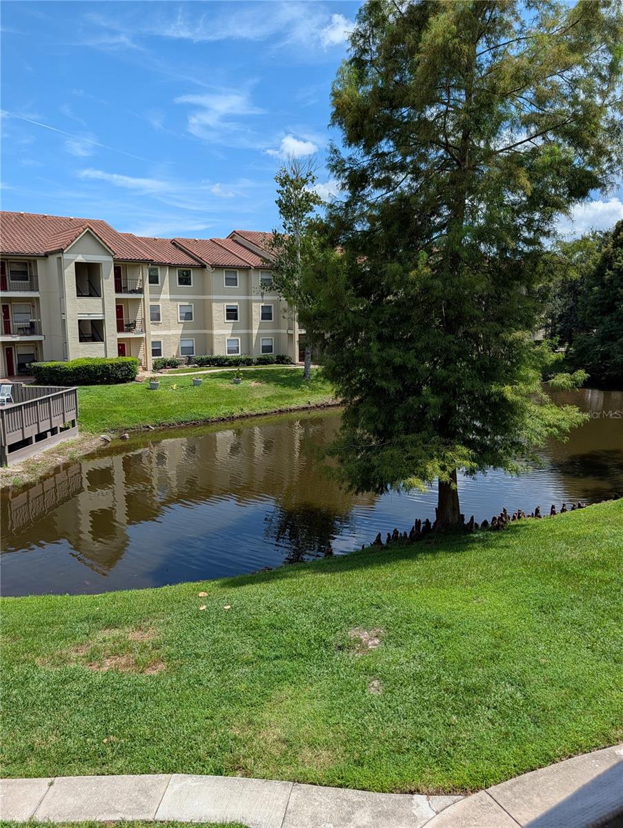 3028 Parkway Blvd Unit 204, Kissimmee, FL 34747