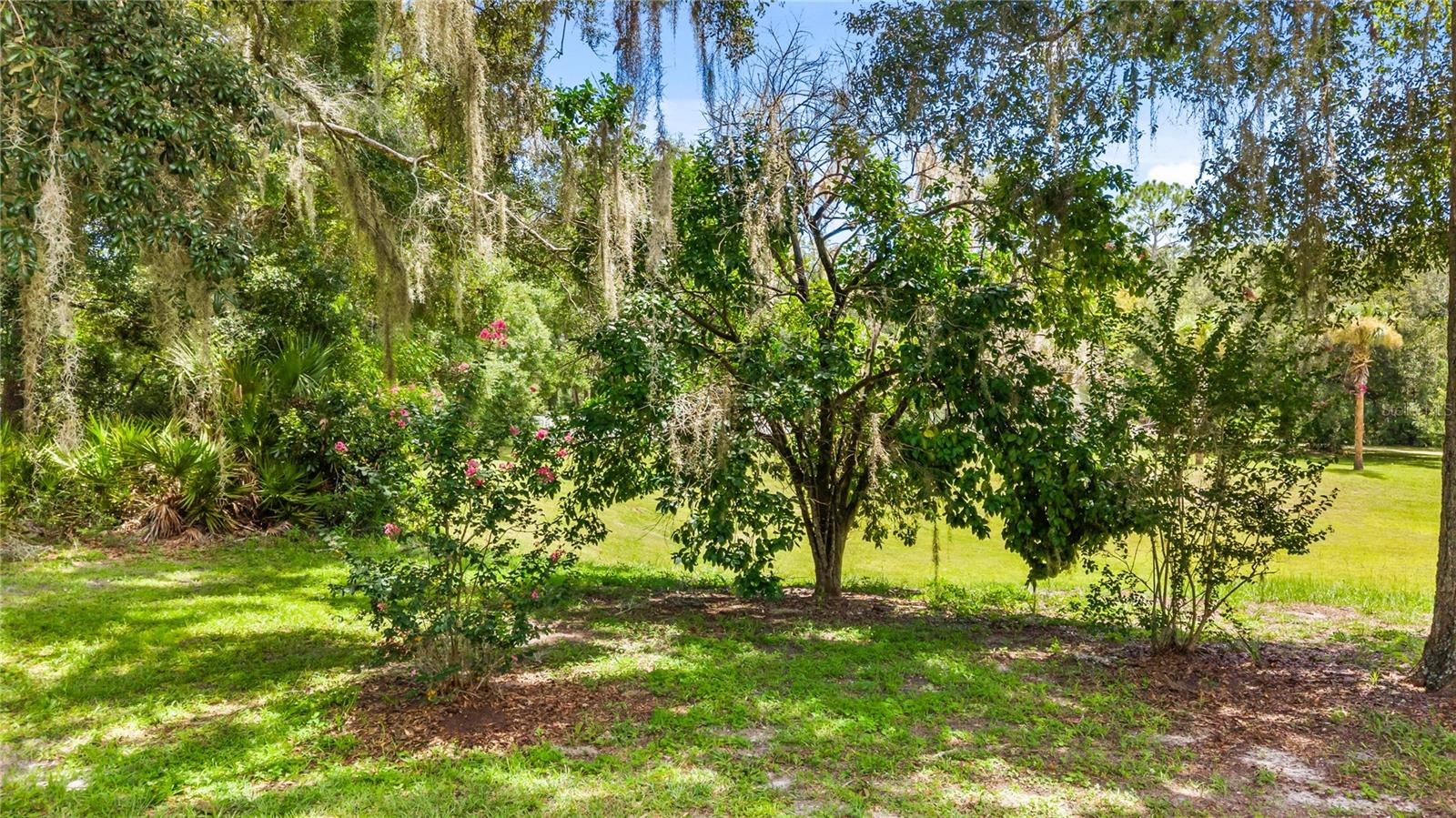 11108 70th, Chiefland, FL 32626