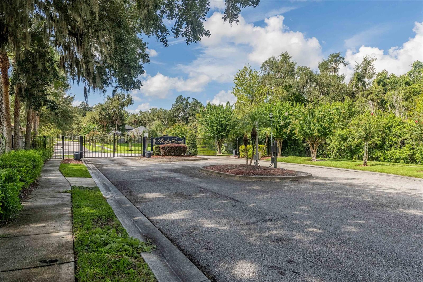 8834 Alafia Cove, Riverview, FL 33569