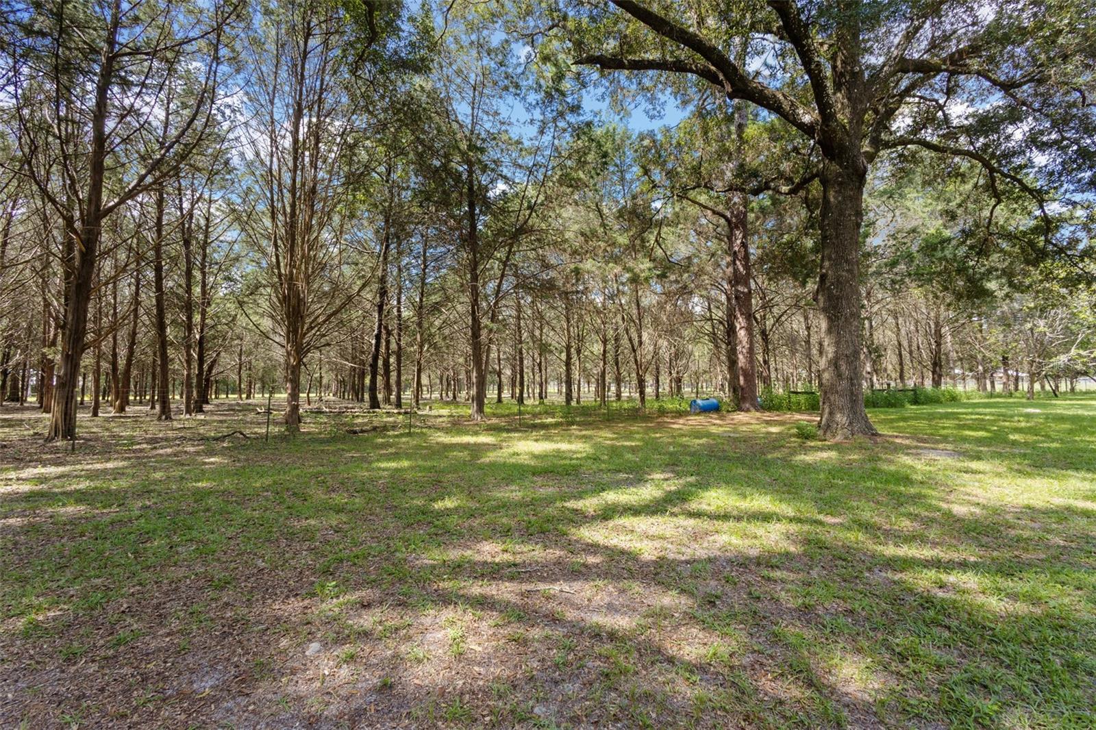 5581 157th, Williston, FL 32696