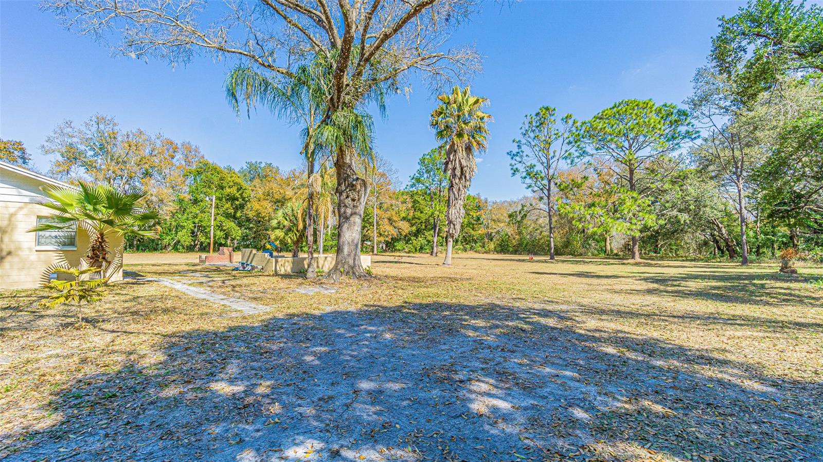 3902 Autumn Palm, Zephyrhills, FL 33541