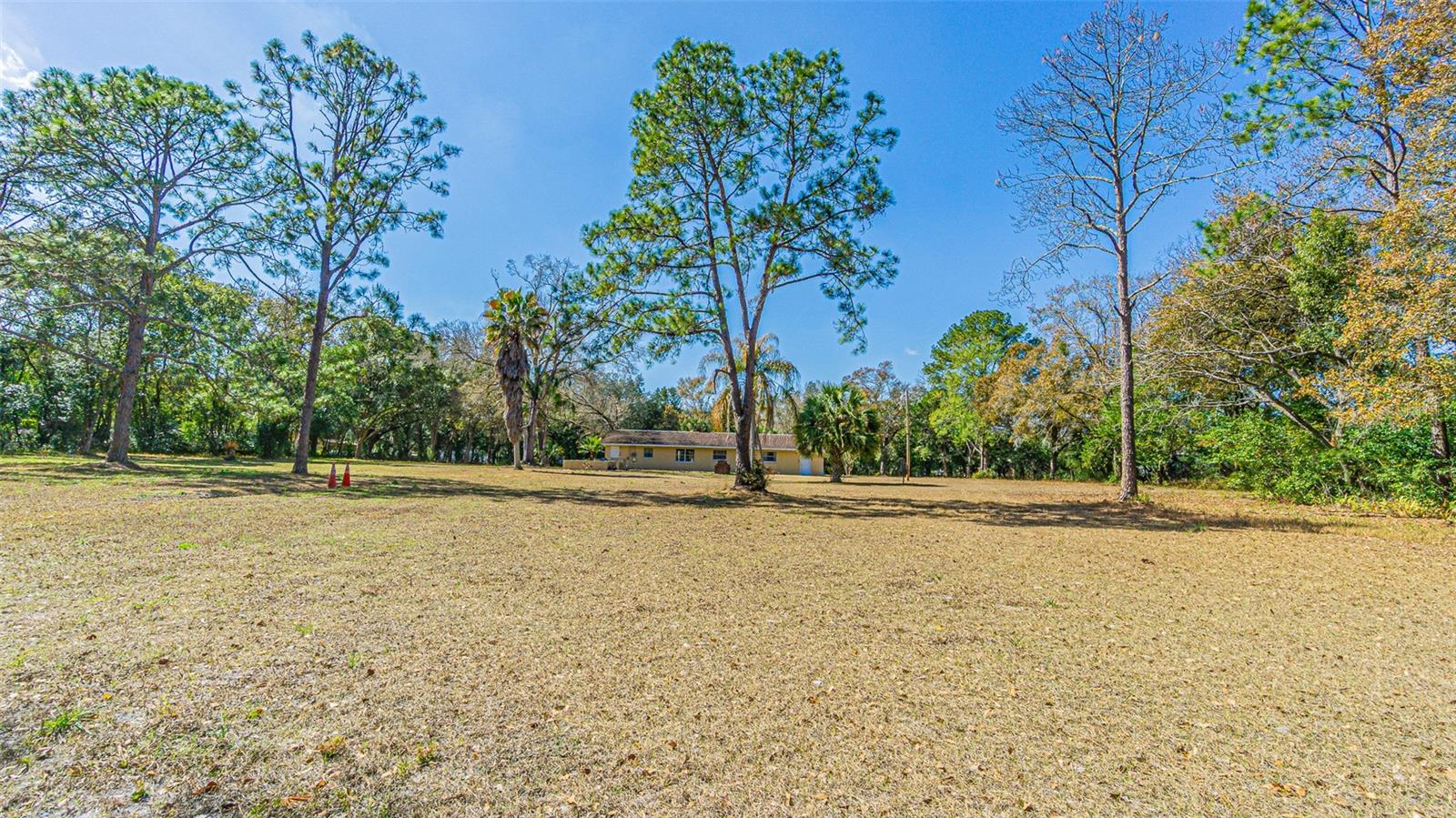 3902 Autumn Palm, Zephyrhills, FL 33541