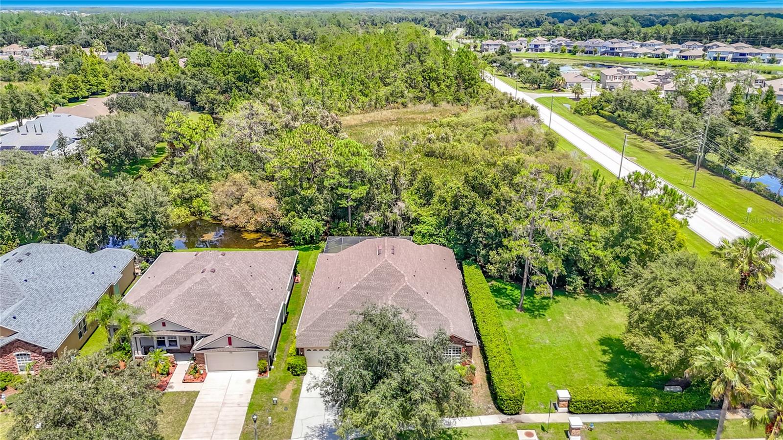 7220 Night Heron, Land O Lakes, FL 34637