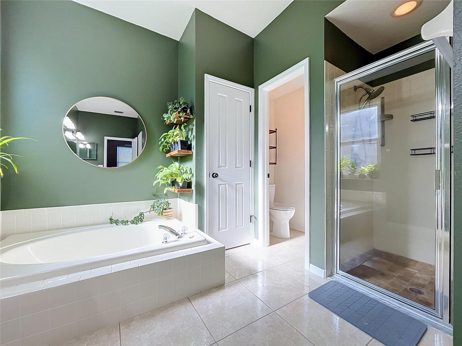 4209 Amber Ridge, Valrico, FL 33594