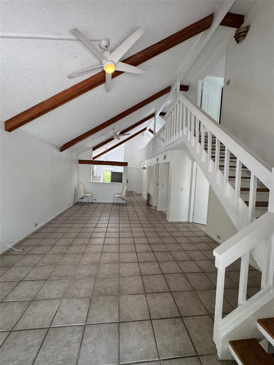4009 Muriel, Tampa, FL 33614