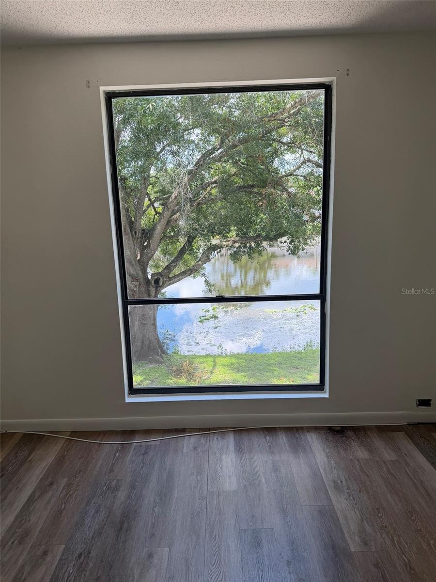 4009 Muriel, Tampa, FL 33614